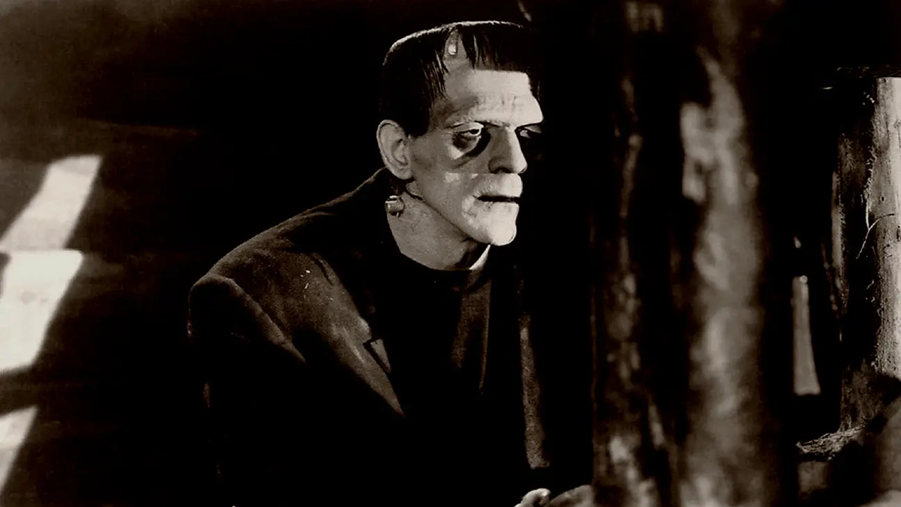 Movienurture: Frankenstein