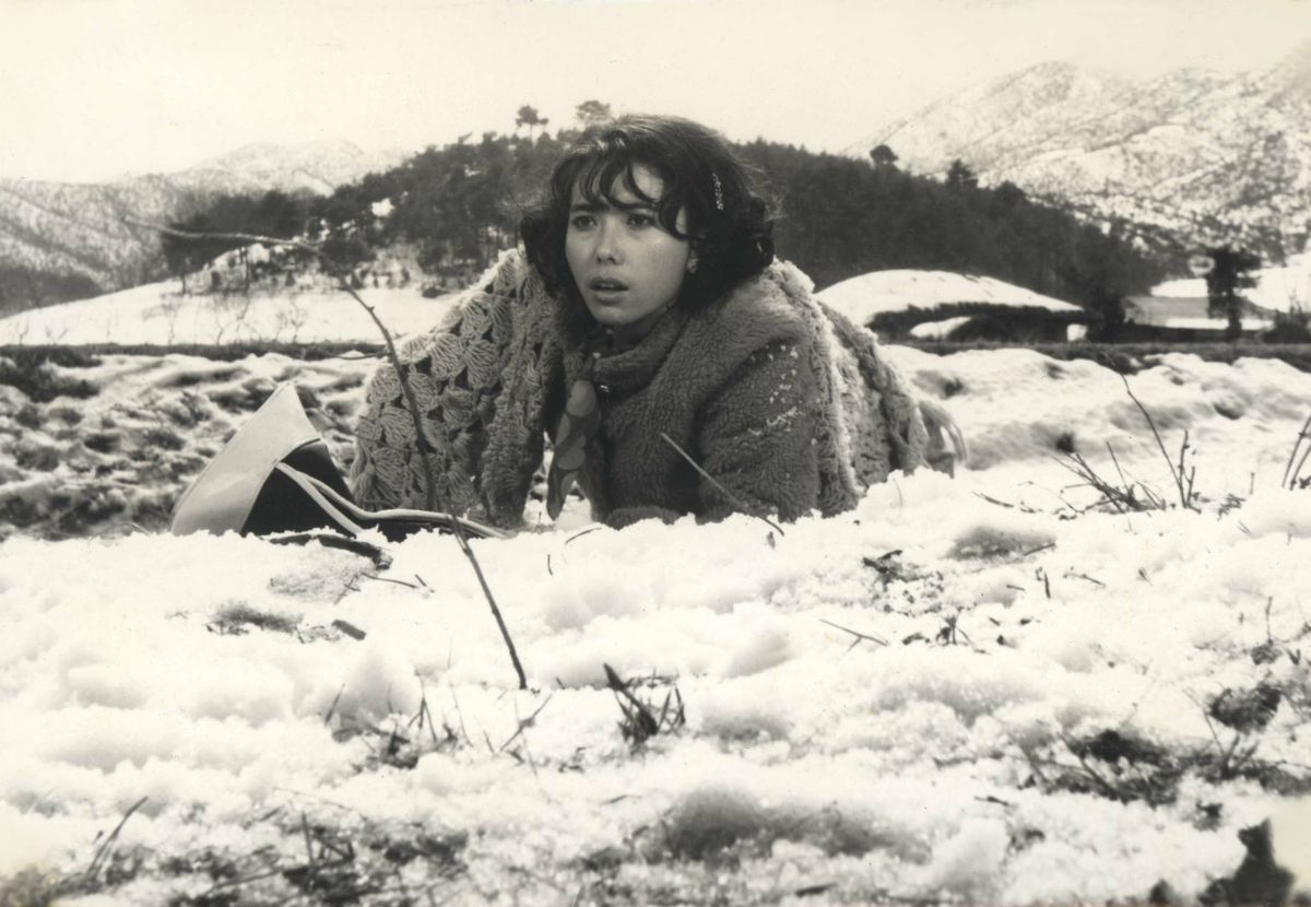 Movie Nurture:द रोड टू सम्पो